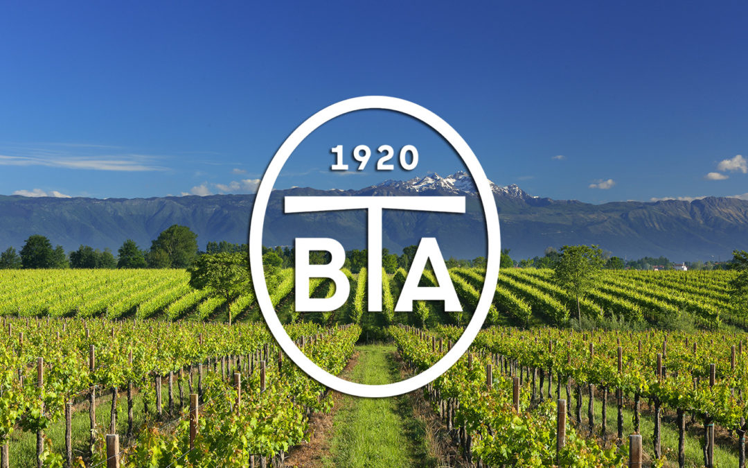 Nowe wina z Friuli – Bosco Albano