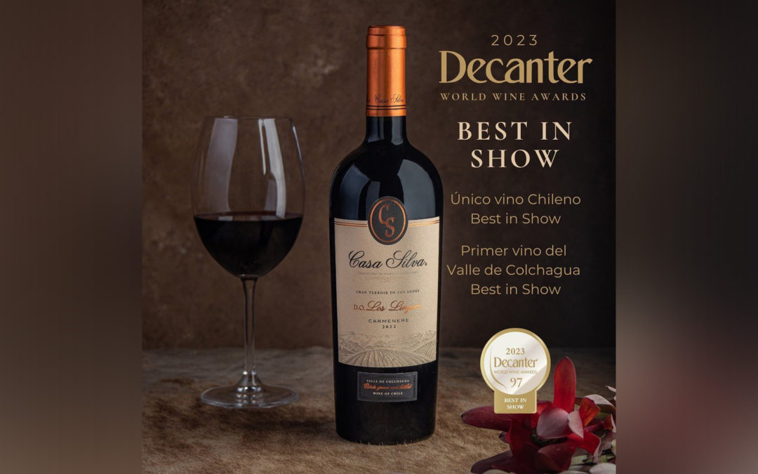 Najlepsze wino z Chile w 2023 według Decanter World Wine Awards Show!