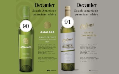 Białe wina Colomé i Amalaya z wysokimi ocenami Decantera!